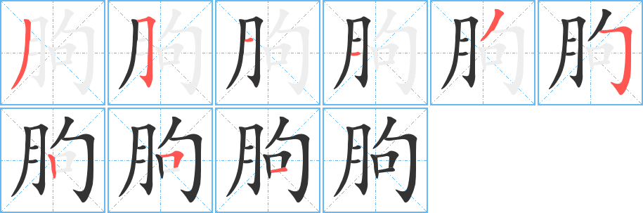 朐字笔画写法