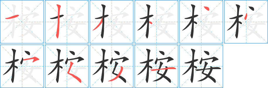 桉字笔画写法