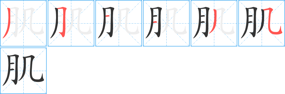 肌字笔画写法