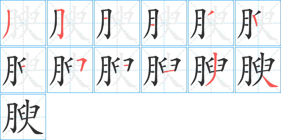 腴字笔画写法